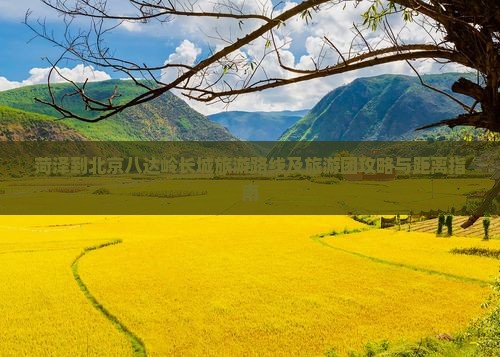 菏泽到北京八达岭长城旅游路线及旅游团攻略与距离指南