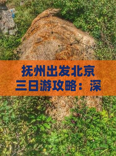 抚州出发北京三日游攻略：深度旅游体验指南