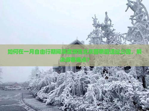 如何在一月自由行期间深度游览北京圆明园遗址公园，解决游客痛点？