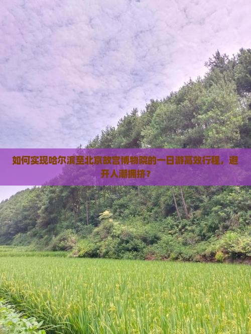 如何实现哈尔滨至北京故宫博物院的一日游高效行程，避开人潮拥挤？