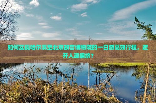 如何实现哈尔滨至北京故宫博物院的一日游高效行程，避开人潮拥挤？