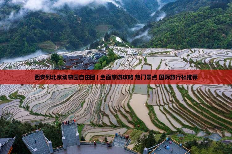 西安到北京动物园自由团 | 全面旅游攻略+热门景点+国际旅行社推荐