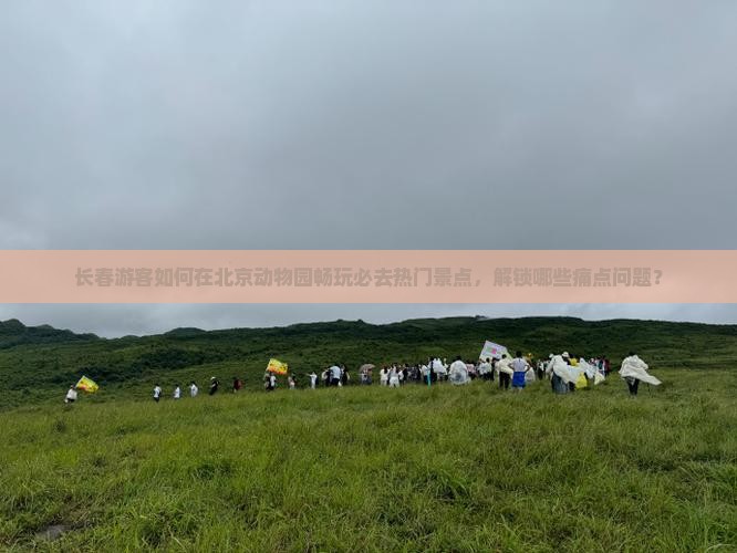 长春游客如何在北京动物园畅玩必去热门景点，解锁哪些痛点问题？