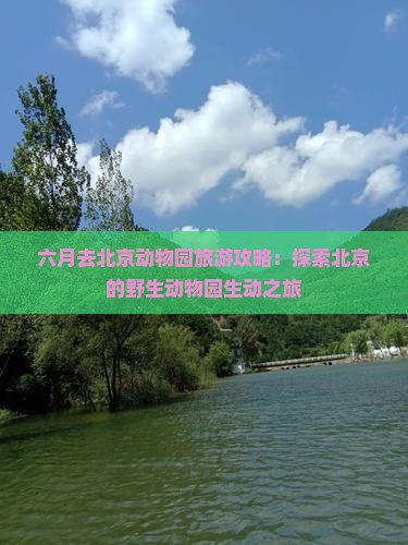 六月去北京动物园旅游攻略：探索北京的野生动物园生动之旅