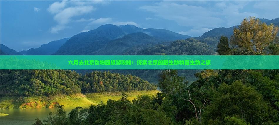 六月去北京动物园旅游攻略：探索北京的野生动物园生动之旅