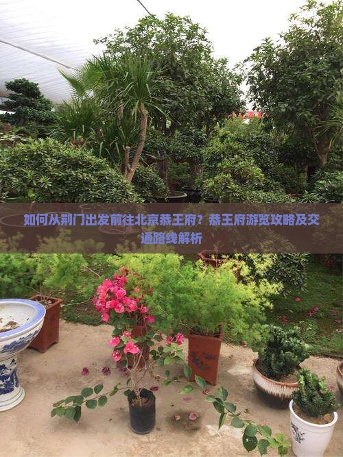 如何从荆门出发前往北京恭王府？恭王府游览攻略及交通路线解析