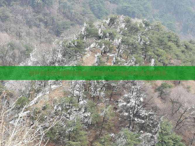葫芦岛去北京圆明园遗址公园旅游小吃攻略与特色美食推荐
