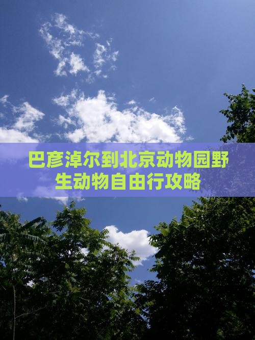 巴彦淖尔到北京动物园野生动物自由行攻略