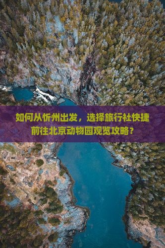 如何从忻州出发，选择旅行社快捷前往北京动物园观览攻略？