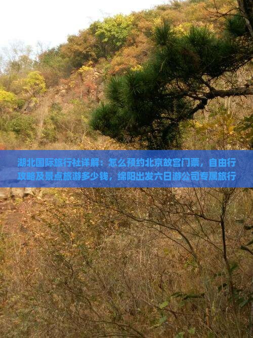 湖北国际旅行社详解：怎么预约北京故宫门票，自由行攻略及景点旅游多少钱，绵阳出发六日游公司专属旅行方案