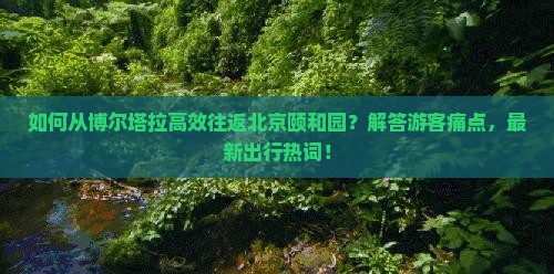 如何从博尔塔拉高效往返北京颐和园？解答游客痛点，最新出行热词！