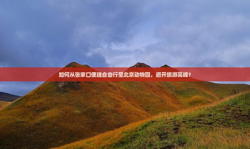如何从张家口便捷自由行至北京动物园，避开旅游高峰？