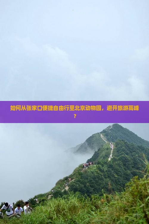 如何从张家口便捷自由行至北京动物园，避开旅游高峰？