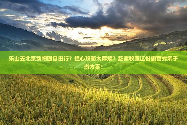 乐山去北京动物园自由行？担心攻略太麻烦？赶紧收藏这份露营式亲子游方案！