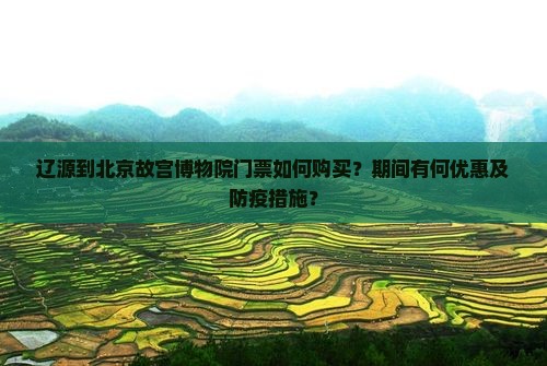 辽源到北京故宫博物院门票如何购买？期间有何优惠及防疫措施？
