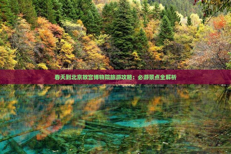 春天到北京故宫博物院旅游攻略：必游景点全解析