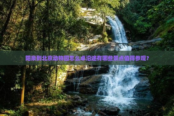 阳泉到北京动物园怎么卓沿途有哪些景点值得参观？