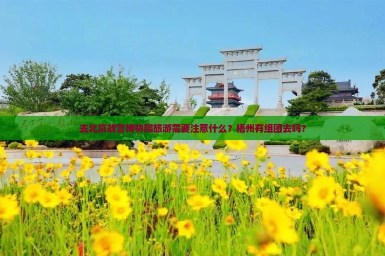 去北京故宫博物院旅游需要注意什么？梧州有组团去吗？