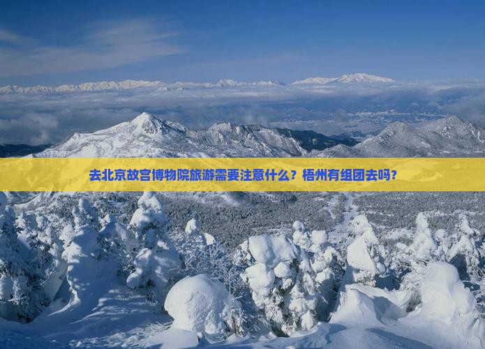 去北京故宫博物院旅游需要注意什么？梧州有组团去吗？