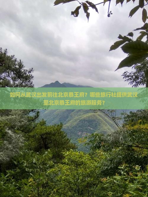 如何从武汉出发前往北京恭王府？哪些旅行社提供武汉至北京恭王府的旅游服务？