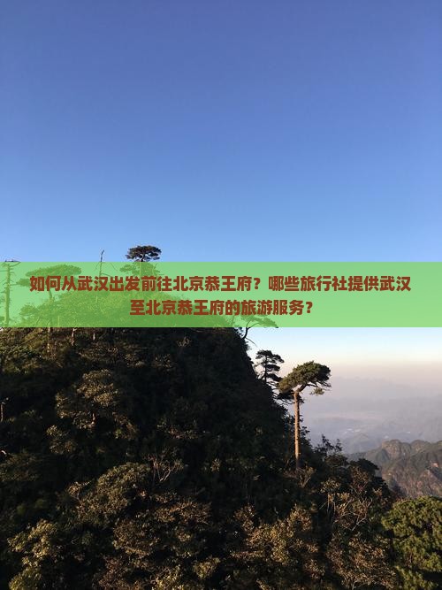 如何从武汉出发前往北京恭王府？哪些旅行社提供武汉至北京恭王府的旅游服务？