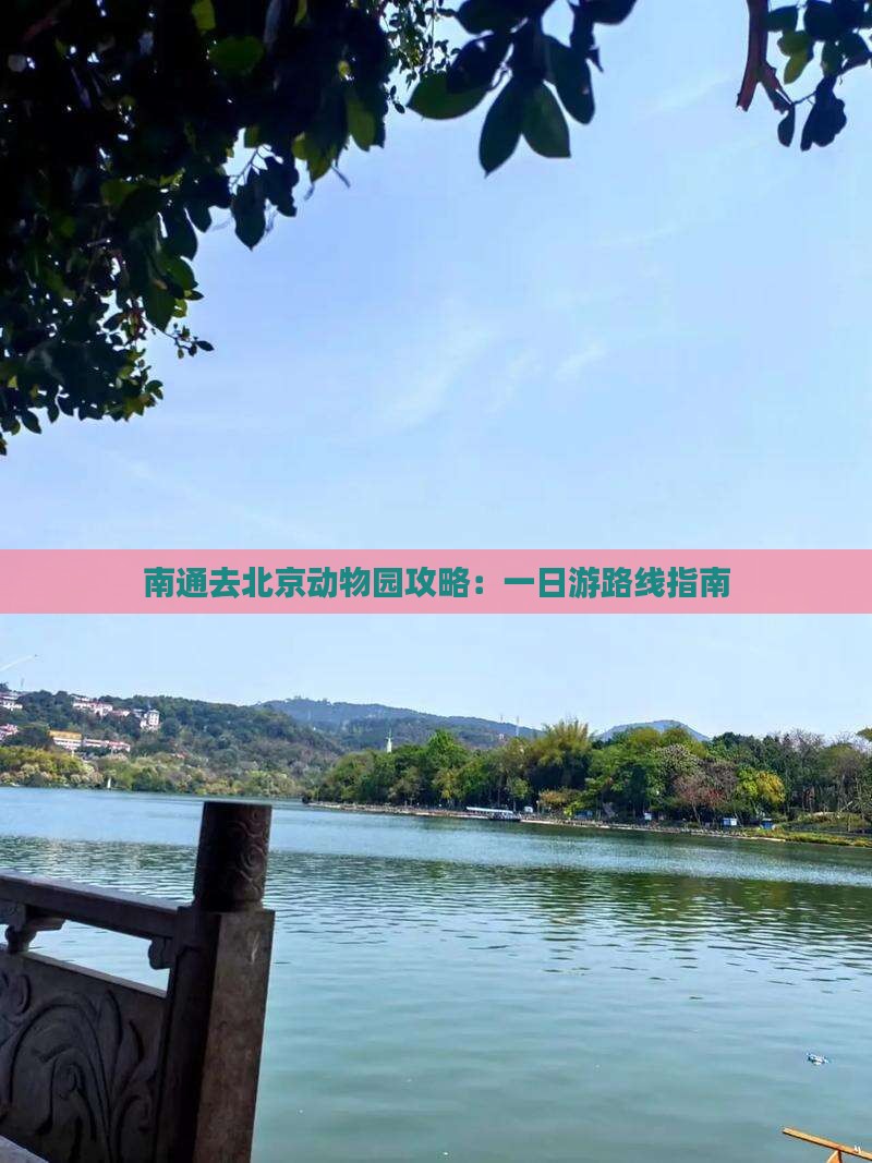 南通去北京动物园攻略：一日游路线指南