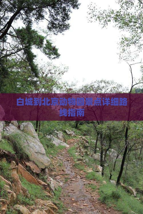 白城到北京动物园景点详细路线指南