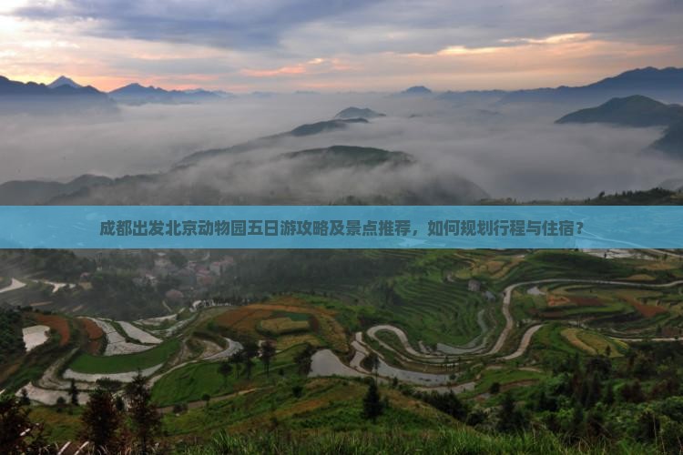 成都出发北京动物园五日游攻略及景点推荐，如何规划行程与住宿？