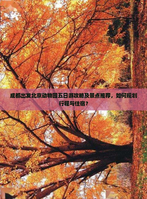 成都出发北京动物园五日游攻略及景点推荐，如何规划行程与住宿？