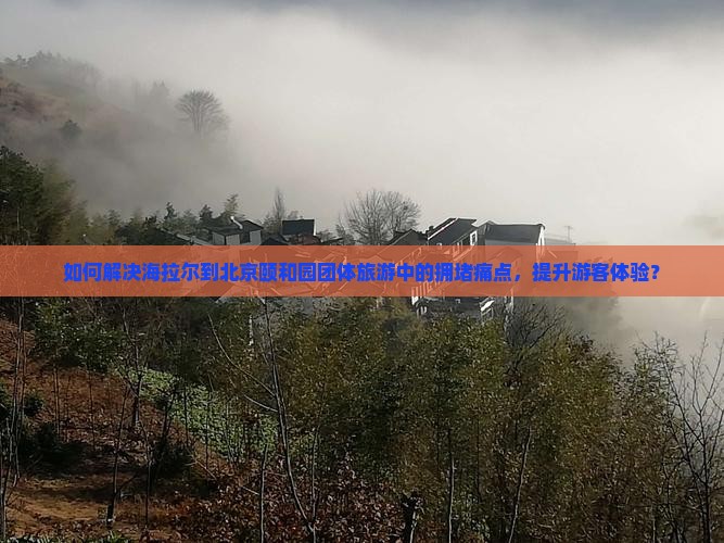 如何解决海拉尔到北京颐和园团体旅游中的拥堵痛点，提升游客体验？