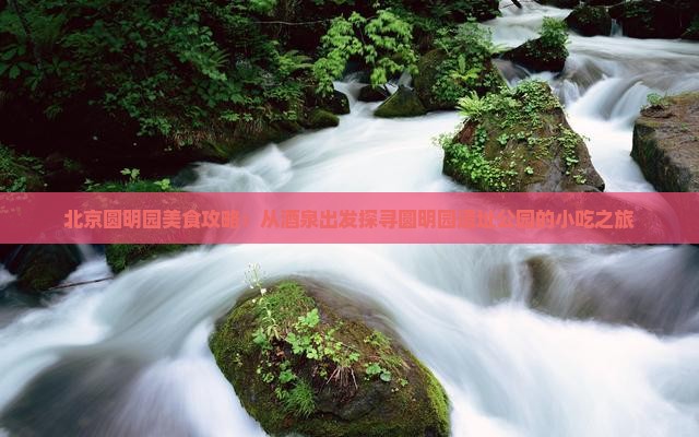 北京圆明园美食攻略：从茶泉出发探寻圆明园遗址公园的小吃之旅