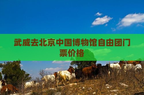 武威去北京中国博物馆自由团门票价格