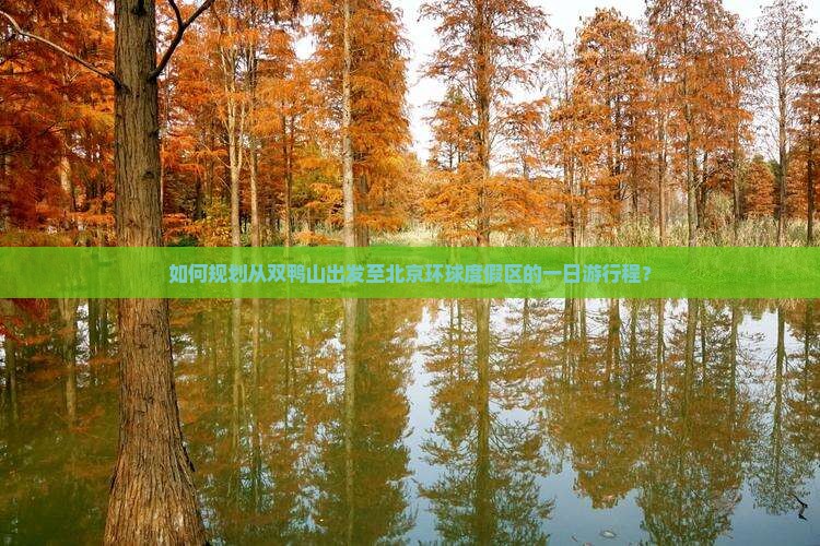 如何规划从双鸭山出发至北京环球度假区的一日游行程？
