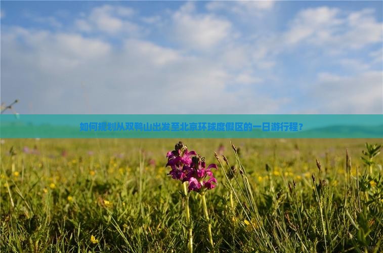 如何规划从双鸭山出发至北京环球度假区的一日游行程？