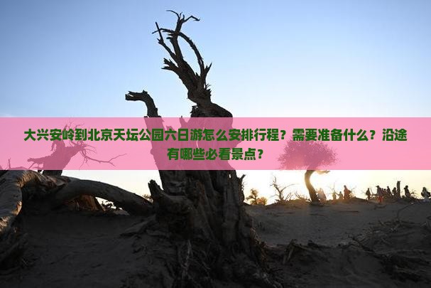 大兴安岭到北京天坛公园六日游怎么安排行程？需要准备什么？沿途有哪些必看景点？