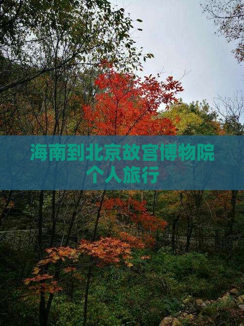 海南到北京故宫博物院个人旅行