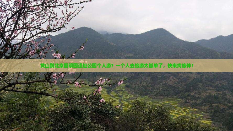 黄山到北京圆明园遗址公园个人游？一个人去旅游太孤单了，快来找旅伴！