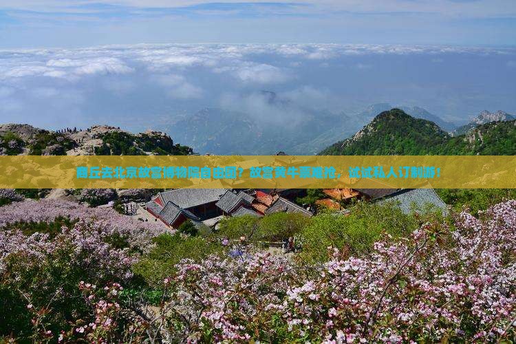 商丘去北京故宫博物院自由团？故宫黄牛票难抢，试试私人订制游！