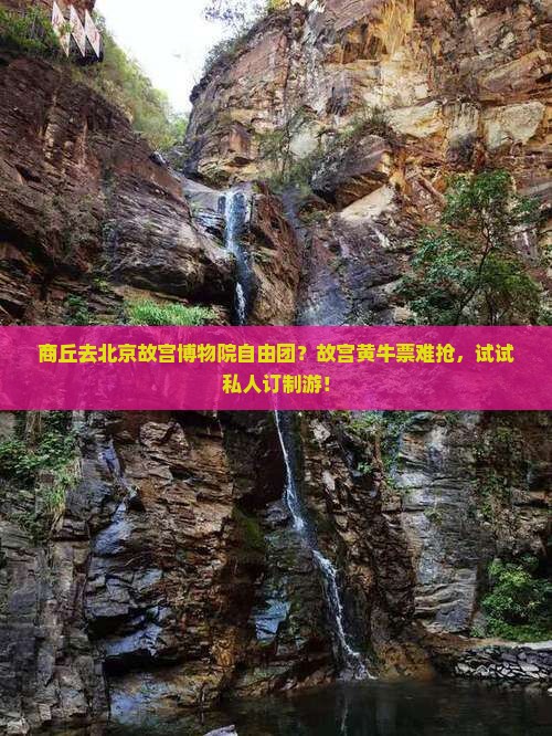 商丘去北京故宫博物院自由团？故宫黄牛票难抢，试试私人订制游！