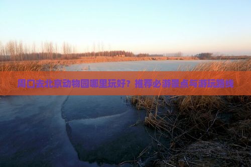 周口去北京动物园哪里玩好？推荐必游景点与游玩路线