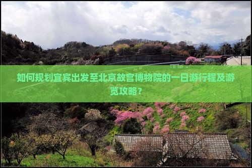 如何规划宜宾出发至北京故宫博物院的一日游行程及游览攻略？