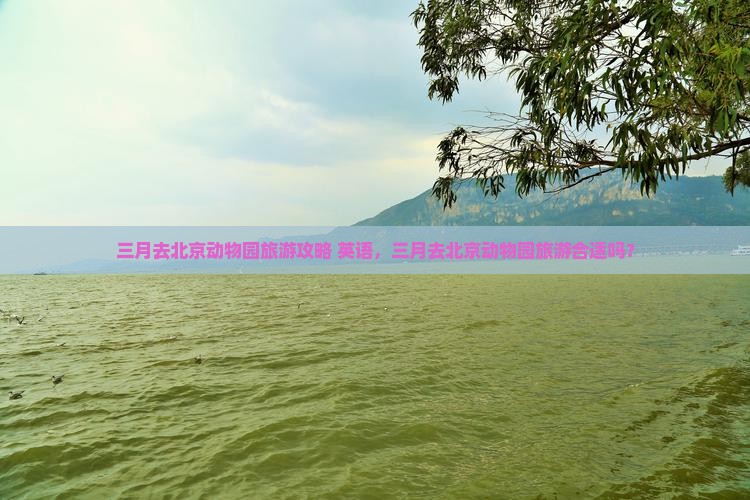 三月去北京动物园旅游攻略+英语，三月去北京动物园旅游合适吗？
