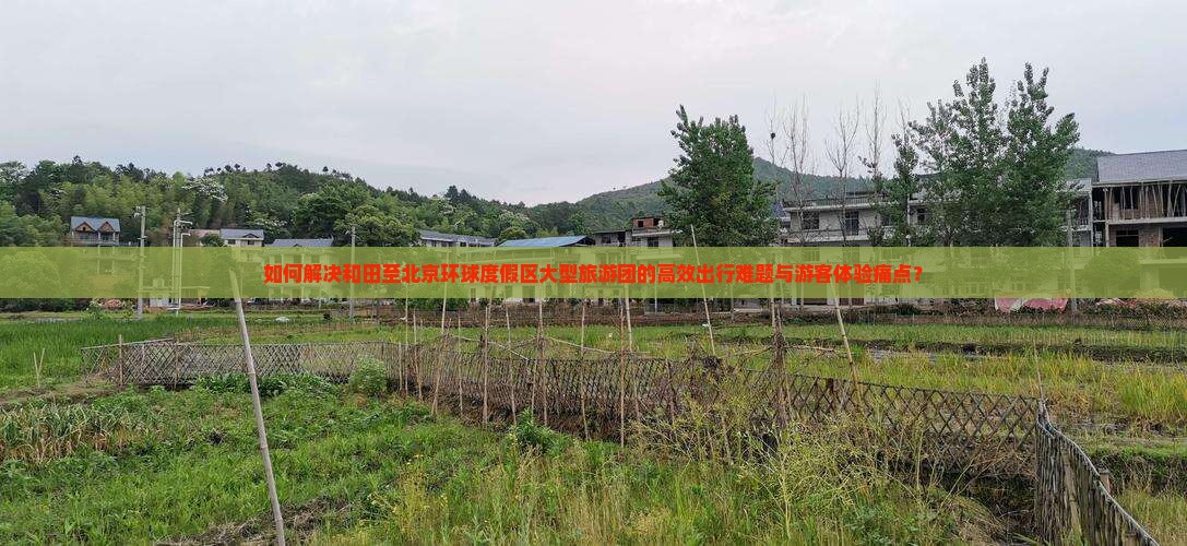 如何解决和田至北京环球度假区大型旅游团的高效出行难题与游客体验痛点？