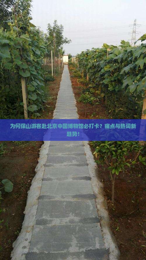 为何保山游客赴北京中国博物馆必打卡？痛点与热词新趋势！