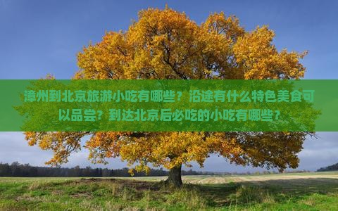 漳州到北京旅游小吃有哪些？沿途有什么特色美食可以品尝？到达北京后必吃的小吃有哪些？