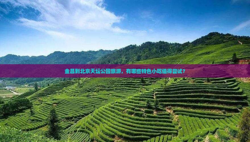 金昌到北京天坛公园旅游，有哪些特色小吃值得尝试？
