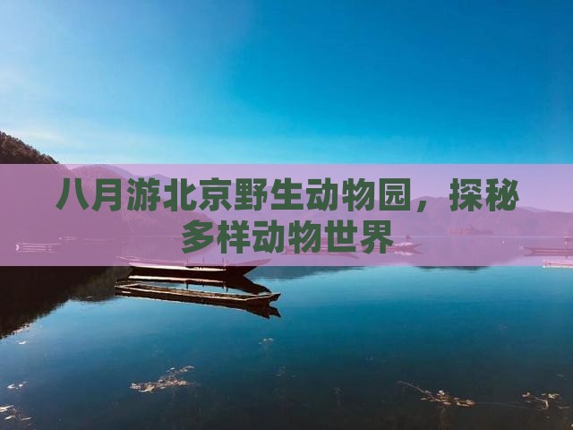 八月游北京野生动物园，探秘多样动物世界