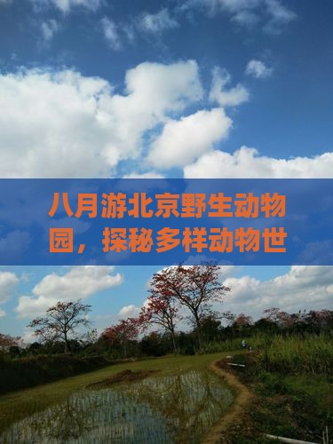 八月游北京野生动物园，探秘多样动物世界