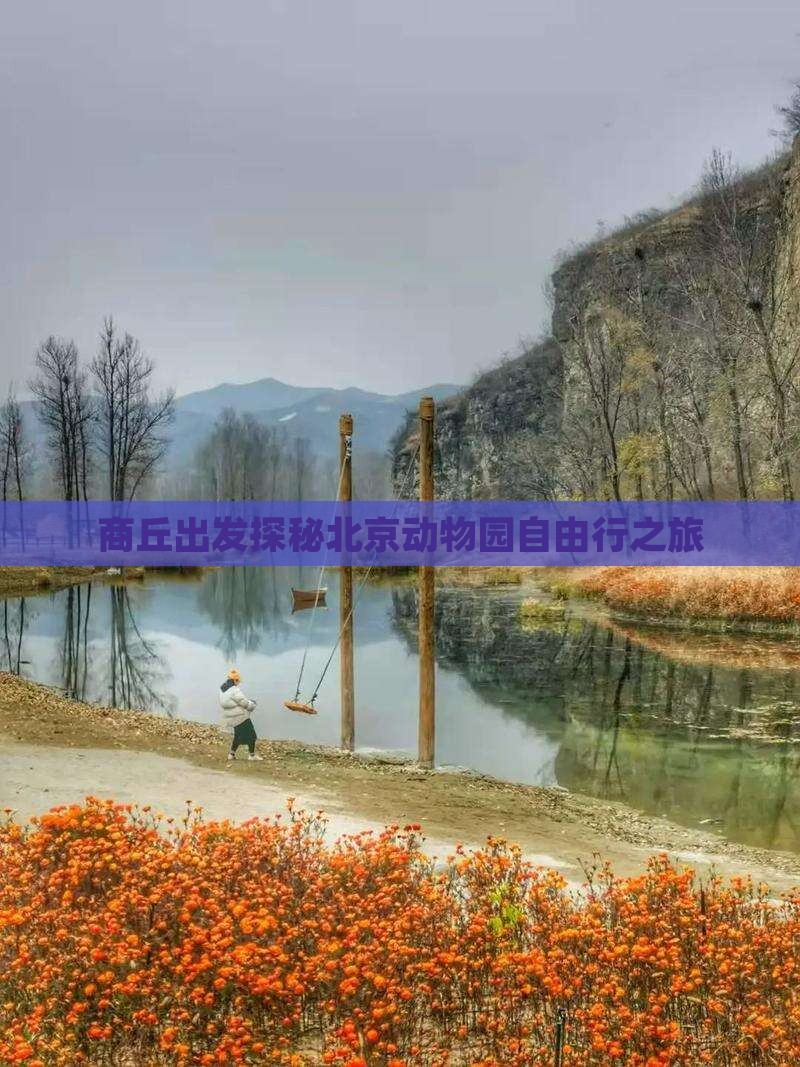 商丘出发探秘北京动物园自由行之旅