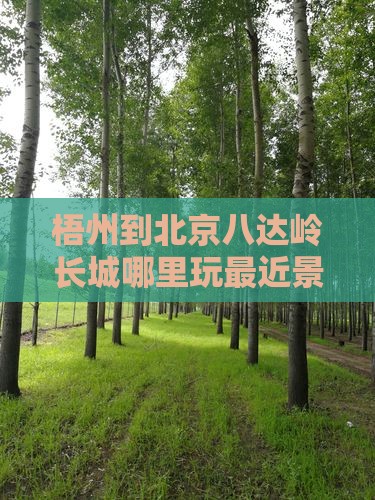 梧州到北京八达岭长城哪里玩最近景点推荐